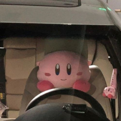 Repose Tete Voiture Kirby