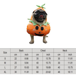 Déguisements pour Chien et Chats