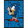 Tableau Sonic lettres alphabet - boutique geek - Cadeau Geek