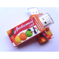 Clé USB Personnalisée Forme entièrement Personnalisable