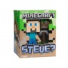 Minecraft Steve Vinyl