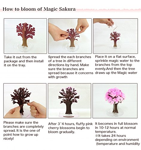 Sakura magic arbre